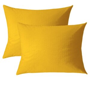 Set 2 fete de perna Crepe Lemon Chrome